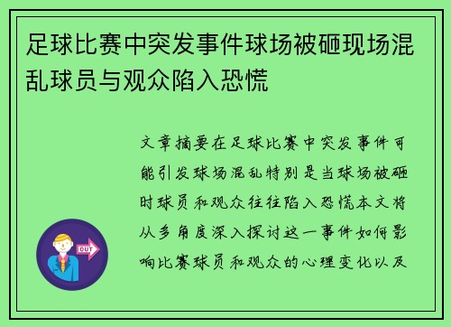足球比赛中突发事件球场被砸现场混乱球员与观众陷入恐慌