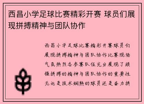 西昌小学足球比赛精彩开赛 球员们展现拼搏精神与团队协作