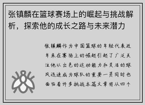 张镇麟在篮球赛场上的崛起与挑战解析，探索他的成长之路与未来潜力
